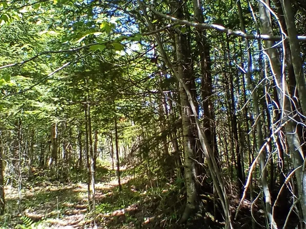 NULLA Gager Rd, Engadine, MI 49827