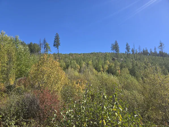 242X Quinns Meadow Rd, Colville, WA 99114