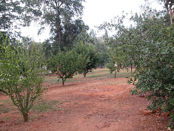 3rd image of 541 Shasta Park Dr