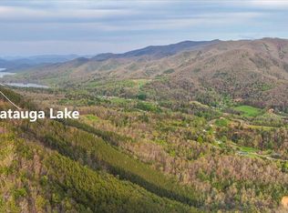 110 Kings Cove Rd, Hampton, TN 37658