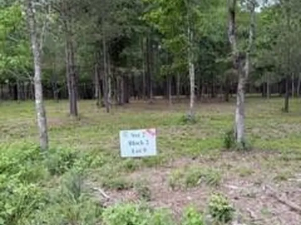 139778 Capital Creek Ranch Blvd Lot 9, Willis, TX 77378