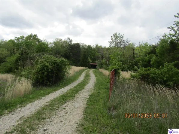 3790 Stith Valley Rd, Guston, KY 40142