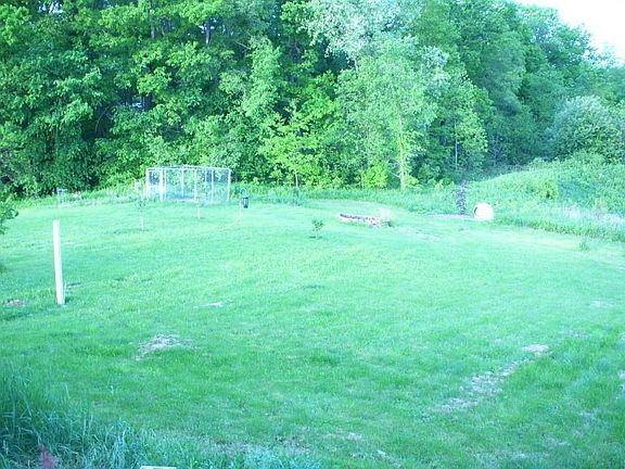 pear and apricot trees