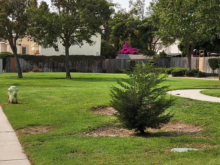 255 Moon Dance Dr — Photo 30