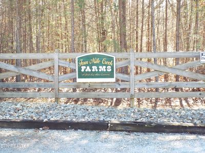 TRACT 10 George Ln, Deer Lodge, TN, 37726