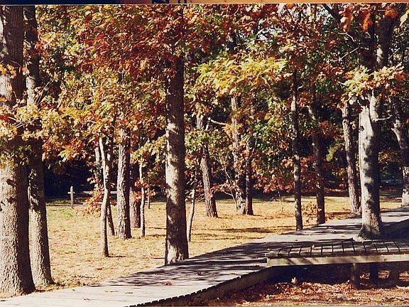 2nd image of 1780 State Hwy rte 6 Highway #C-4