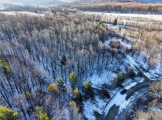 26 & 27 Creek Ridge Rd, Ellicottville, NY 14731