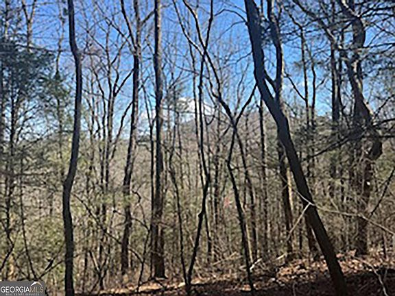 3rd image of 14 Butler Creek Rd