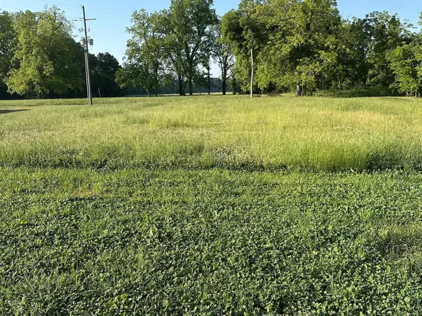 11070 Island Rd, Ventress, LA 70783