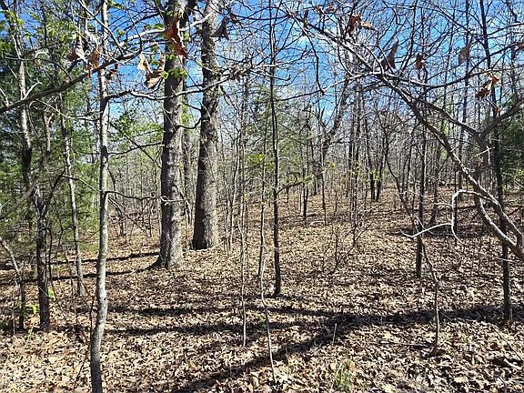 5th image of 000 Timber Road