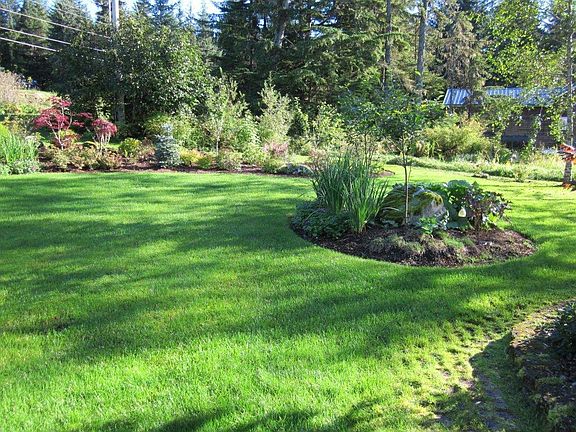 Front Yard looking southeast