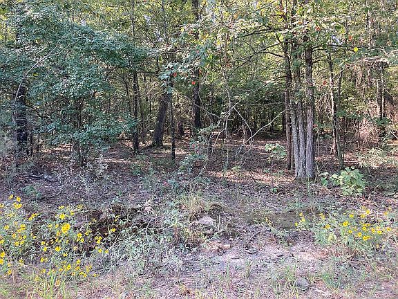 3rd image of 719 County Road 4103