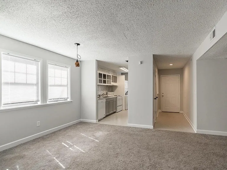 210 Appleby Mews Dr #115 — Photo 12