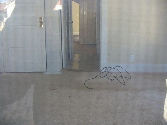 2nd image of 1319 Cleveland Ave