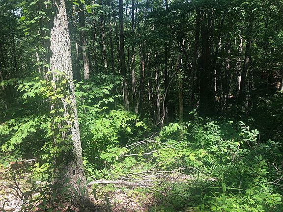 4th image of LOT 19 Low Sunset Dr