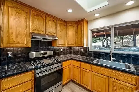 8670 Feliz Creek Dr — Photo 6