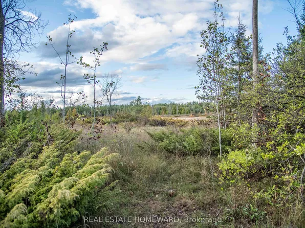 LOT 256 McGuire Beach Rd, Kawartha Lakes, ON K0M 2B0