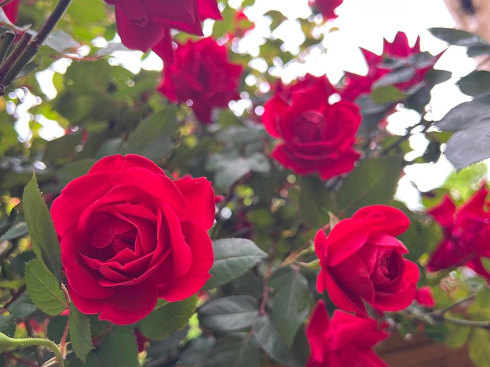 61st image of this home