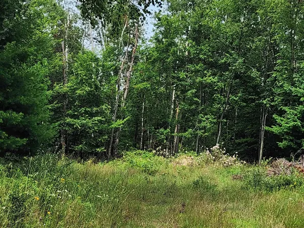 3410 Old Orchard Ln, Lexington, MI 48450