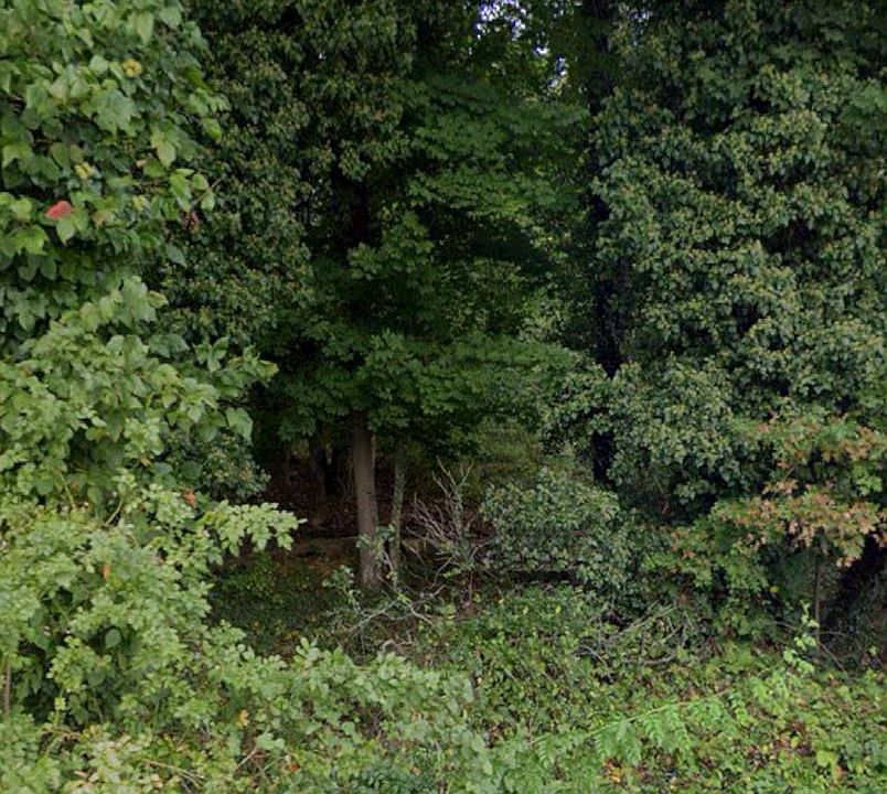 1st image of Rollins Ave