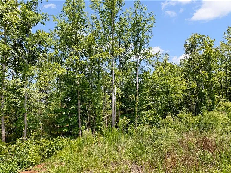 5914 Woodlawn Dr — Photo 40