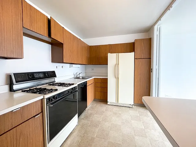 2800 N Lake Shore Dr #2310 — Photo 6