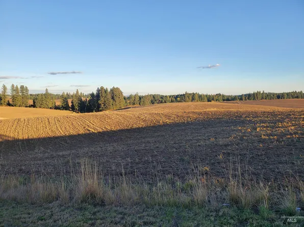 Tbd Tamarack Rd, Troy, ID 83871