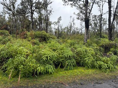 Omao St Lot 3, Mountain View, HI, 96771