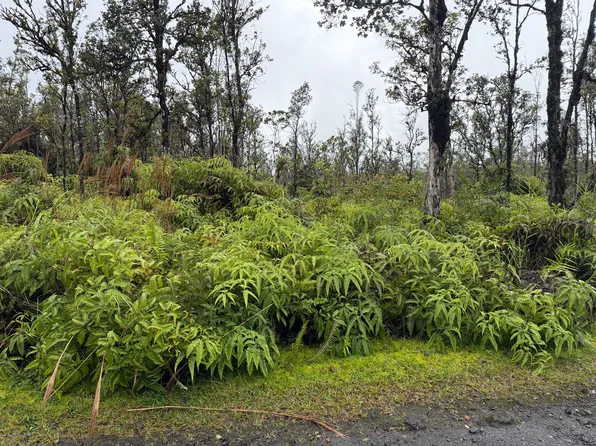 Omao St Lot 3, Mountain View, HI 96771