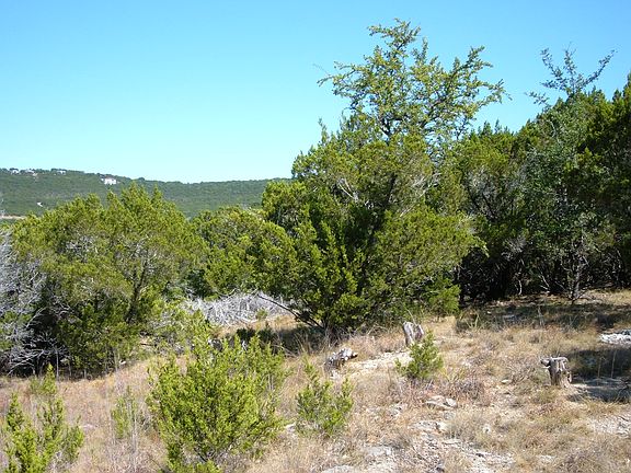Driveway as it comes up hill