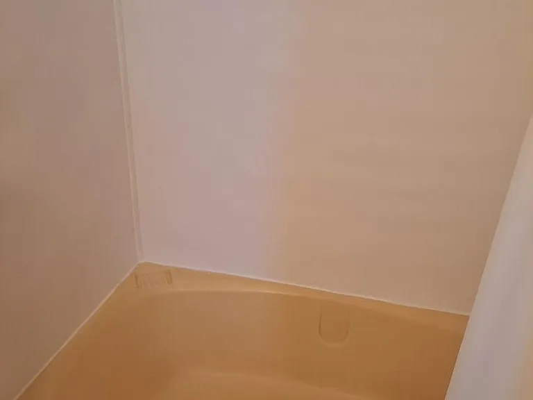 garden tub in master bath