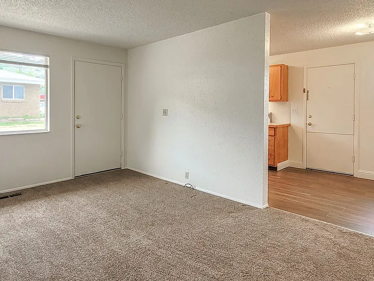 355 E Pages Ln — Photo 23