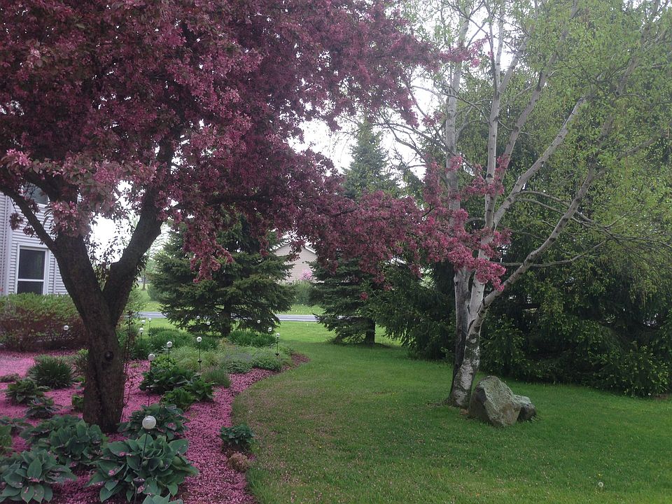Front yard