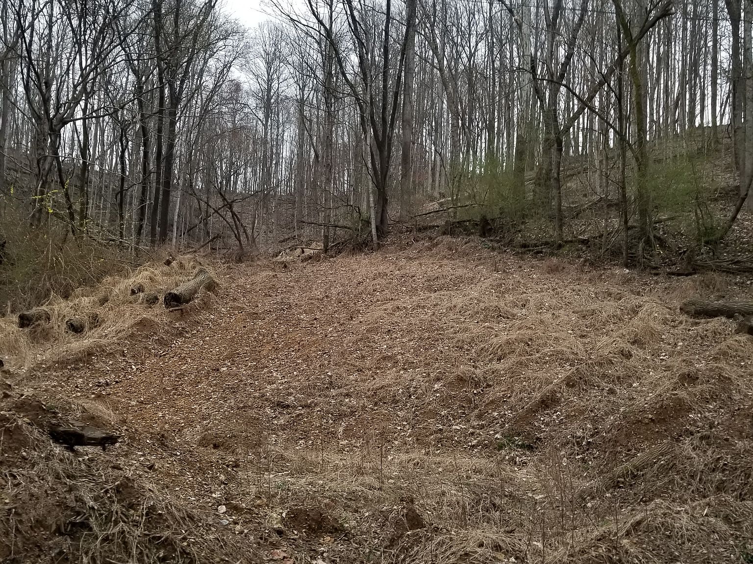 2969 Dry Branch Rd, Dixon Springs, TN 37057 Zillow