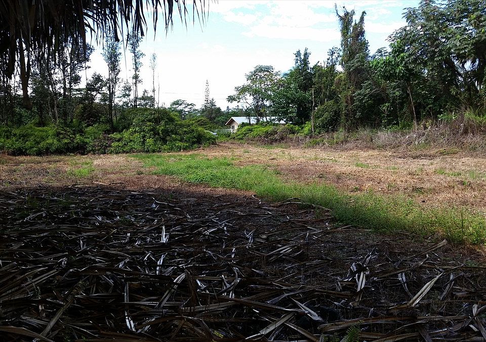 2nd image of 8th Ave Lot 2007