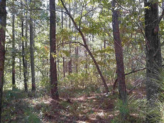 5th image of 1060 Simmons Brg #40B