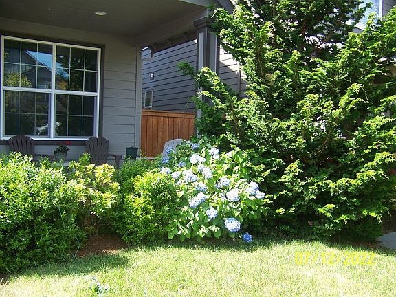 Front yard