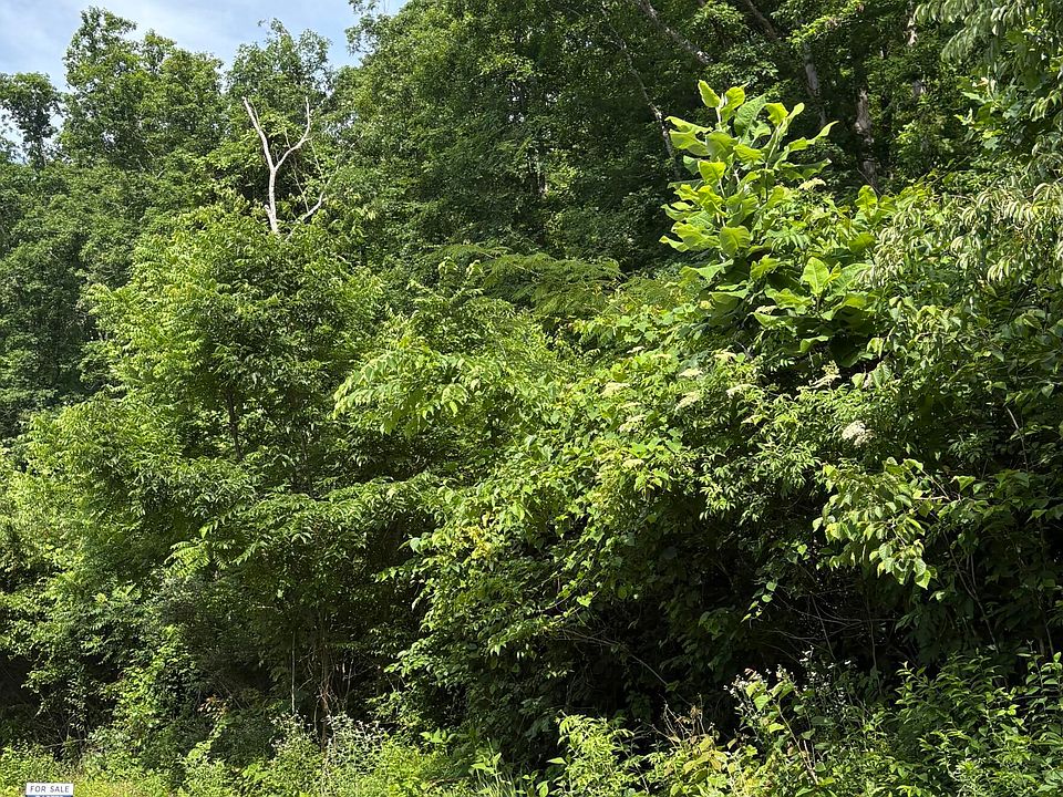 1st image of 5787 Highway 297