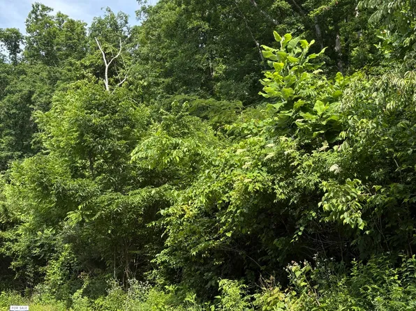 5787 Highway 297, Pioneer, TN 37847