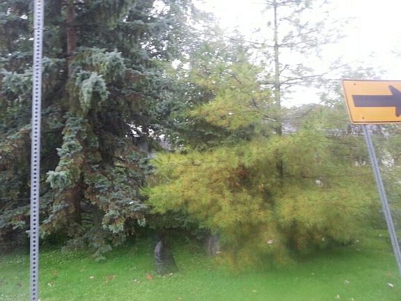 3rd image of 1401 Laurel St