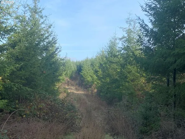 0 Highway 36 Mile Post #43, Cheshire, OR 97419