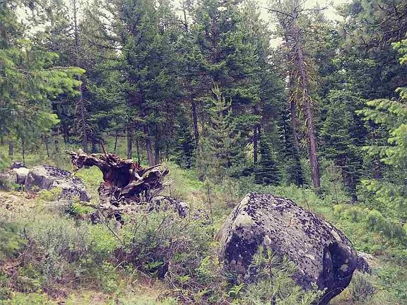 4th image of Tbd McClintock Dr