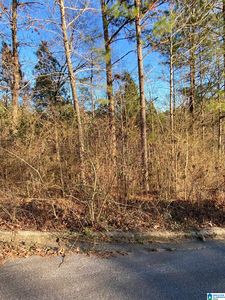 0 Woodland Hills Dr Lot 2, Springville, AL, 35146