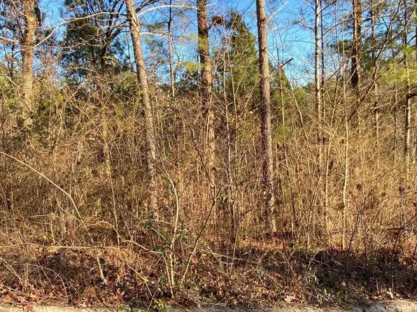 0 Woodland Hills Dr Lot 2, Springville, AL 35146