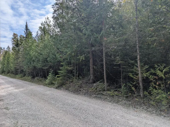 Lappan Rd, Alpena, MI 49707