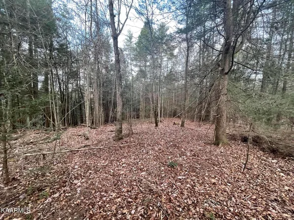 412 White Creek Loop, Deer Lodge, TN 37726