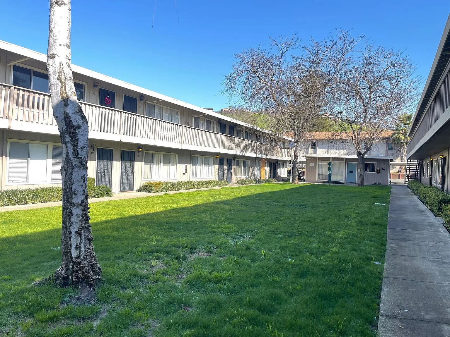 Sharis Apartments — Photo 4