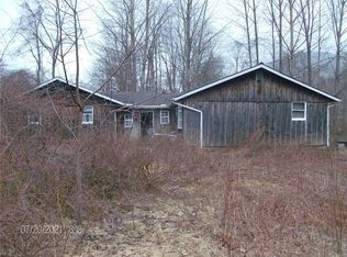 110 Old Mill Rd, East branch, NY 13756