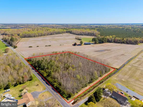 E Trap Pond Rd, Georgetown, DE 19947