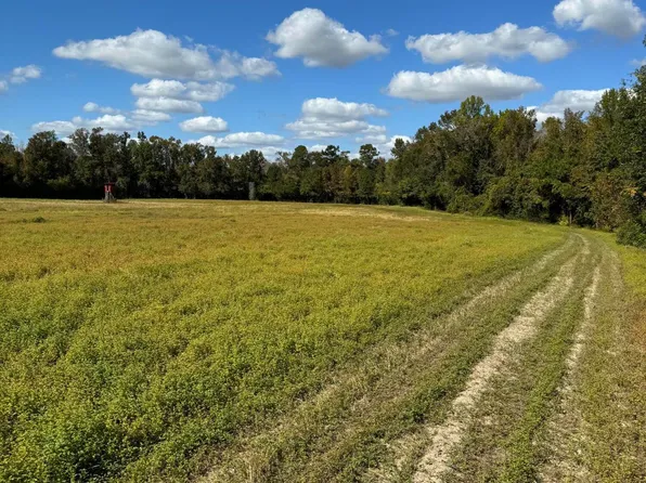 0 Near Will Inman Road, Tabor City, NC 28463